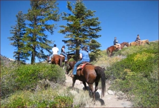  passeggiate a cavallo con les crins du col 